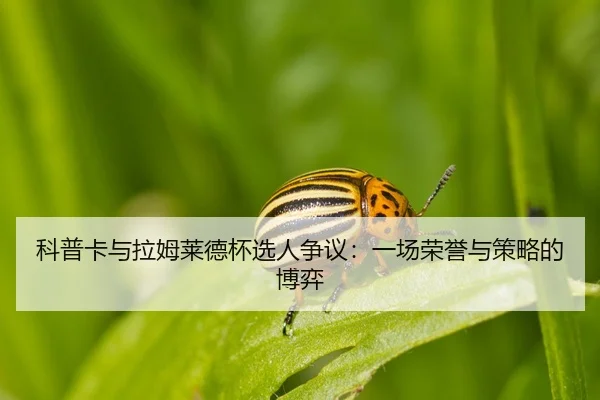 ke-pu-ka-yu-la-mu-lai-de-bei-xuan-ren-zheng-yi-yi-chang-rong-yu-yu-ce-lve-de-bo-yi-2-537.jpg